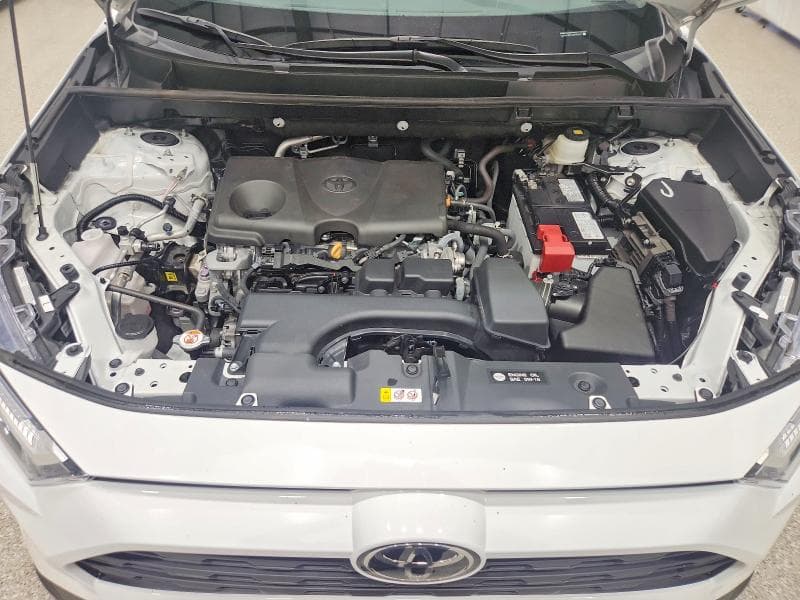 2025 TOYOTA RAV4 LE 12