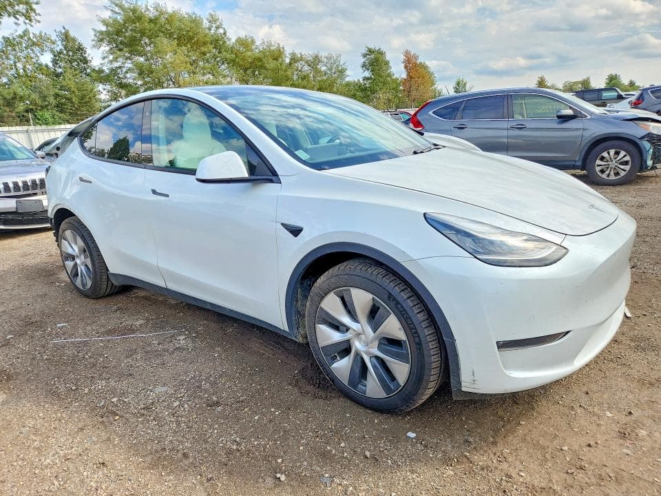 2020 TESLA MODEL Y 4