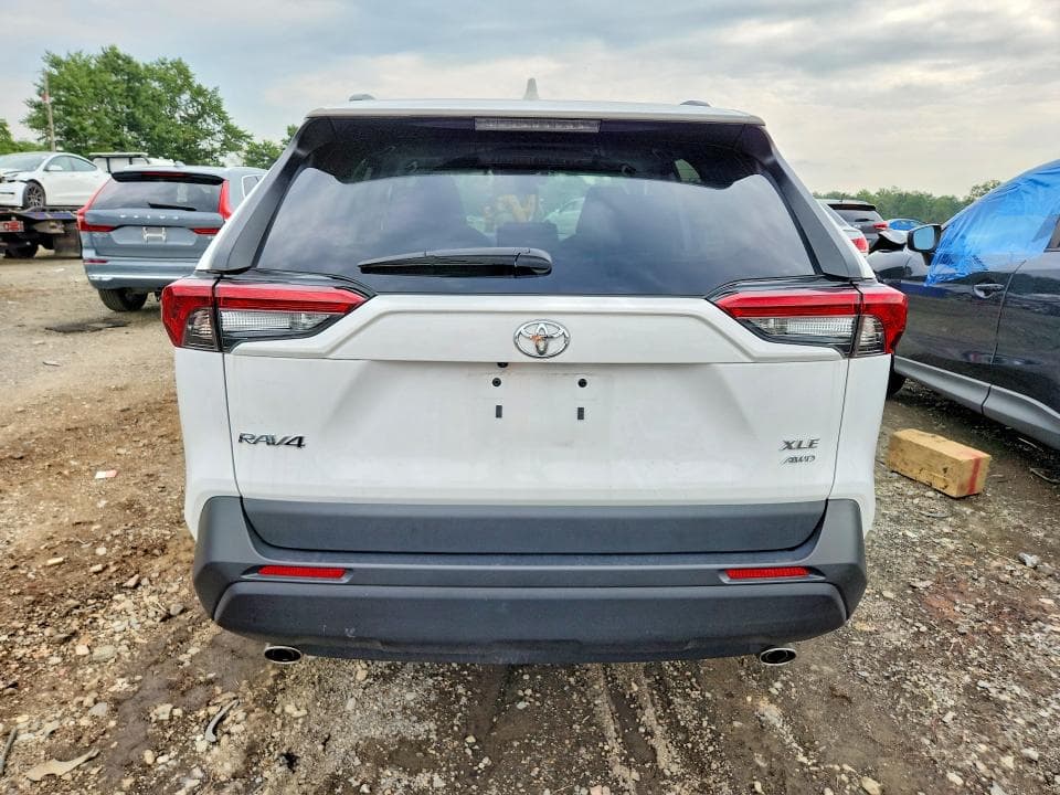 2025 TOYOTA RAV4 XLE 6