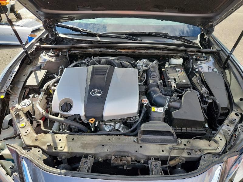 2019 LEXUS ES 350 11