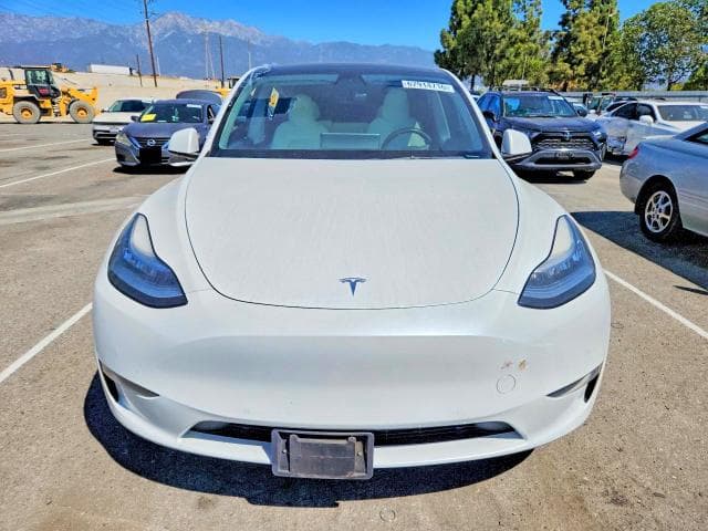 2021 TESLA MODEL Y 5