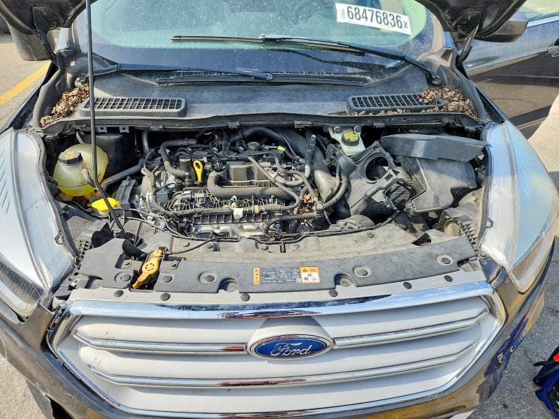 2019 FORD ESCAPE SE 12