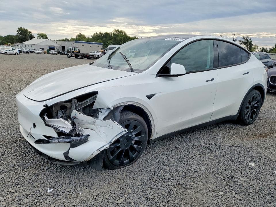 2023 TESLA MODEL Y - 1