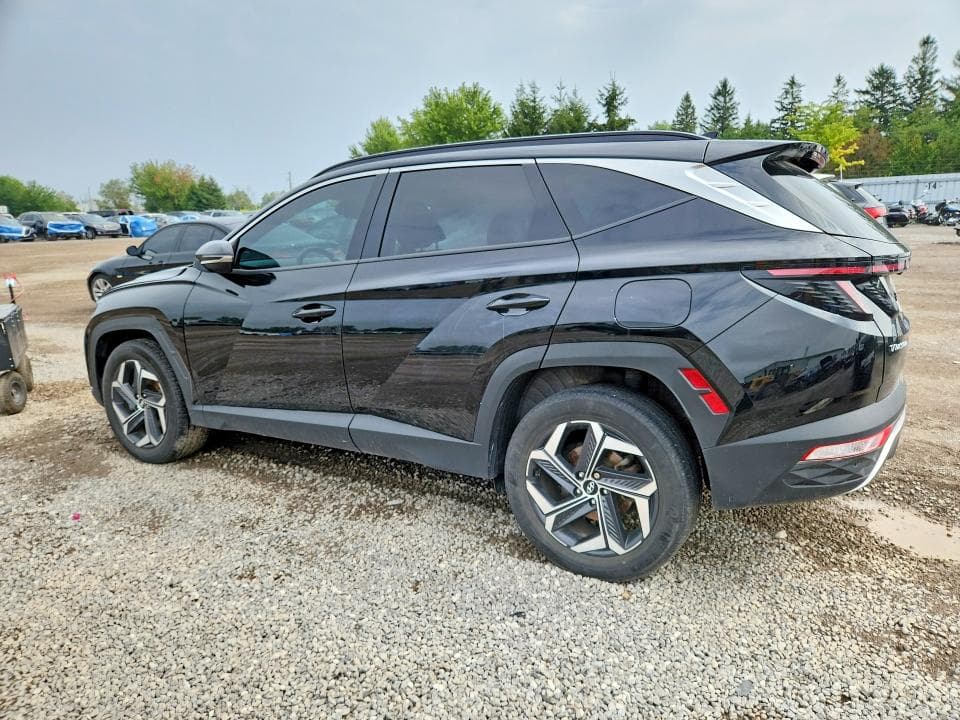 2022 HYUNDAI TUCSON LUXURY 2