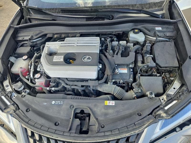 2019 LEXUS UX 250H 11