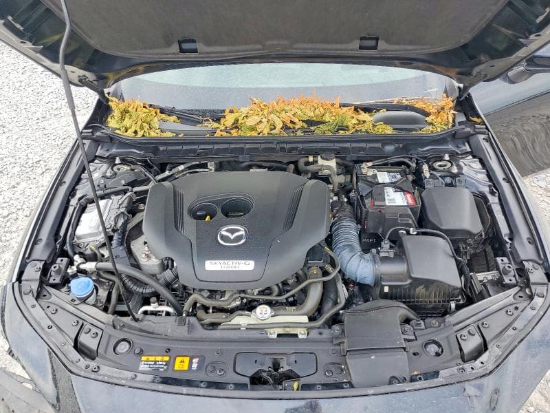 2023 MAZDA 3 PREMIUM PLUS 12