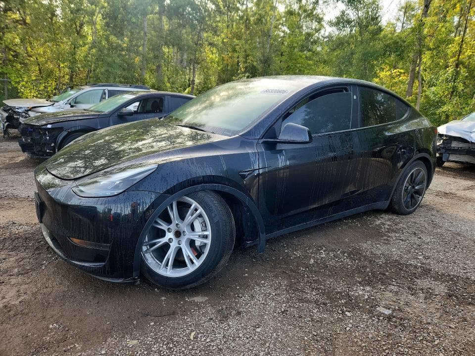 2024 TESLA MODEL Y - 1