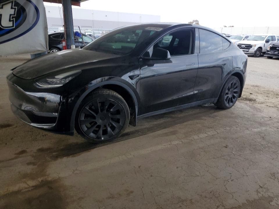 2023 TESLA MODEL Y - 1