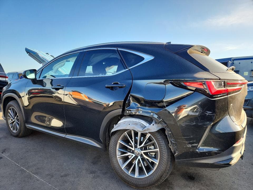 2024 LEXUS NX 350 BASE 2