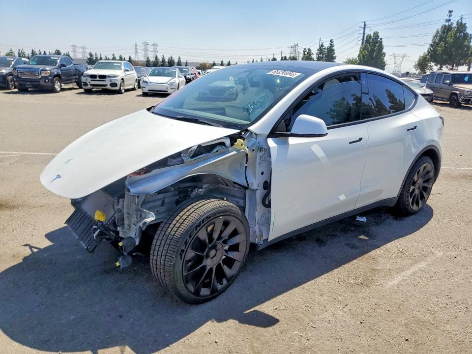 2023 TESLA MODEL Y - 1