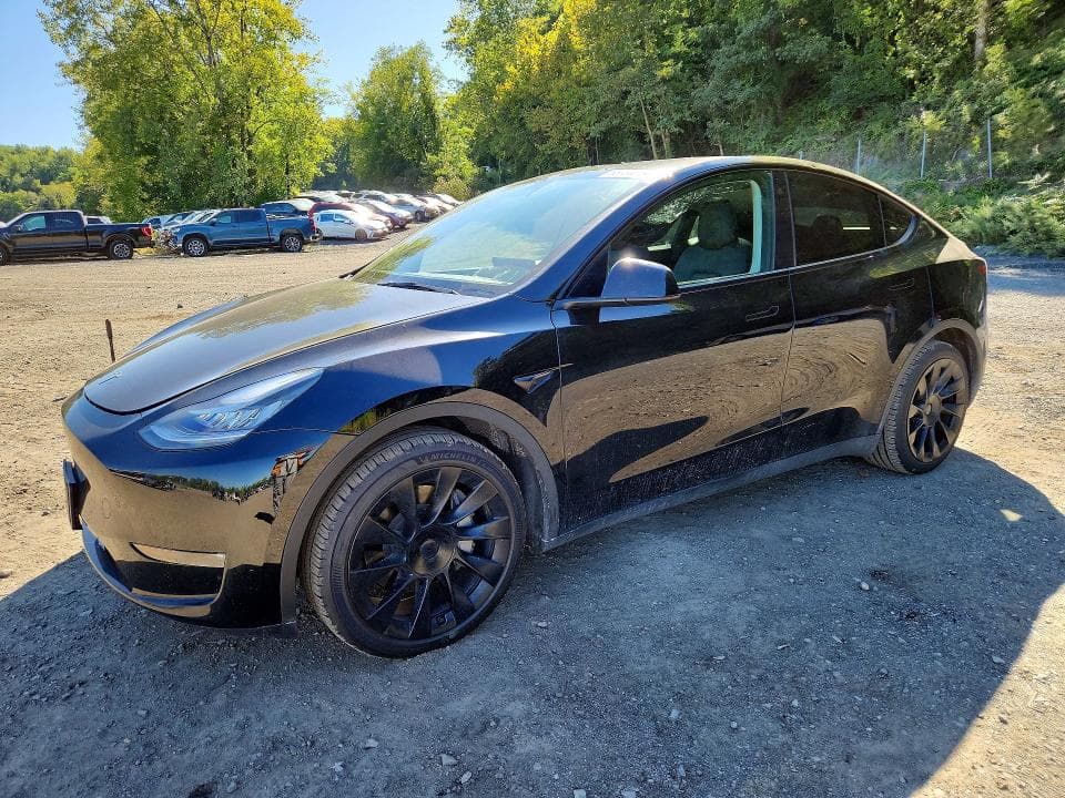 2023 TESLA MODEL Y - 1