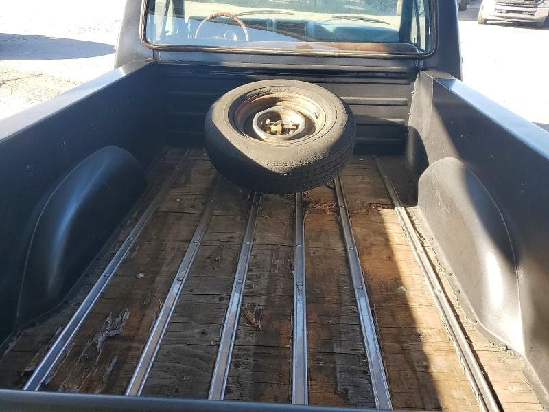 1981 FORD F100 10