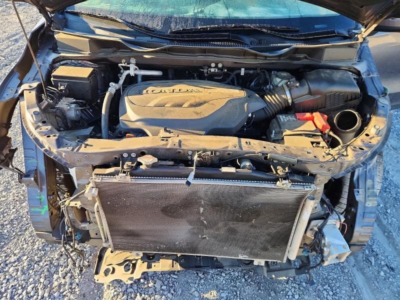 2019 HONDA ODYSSEY EXL 11