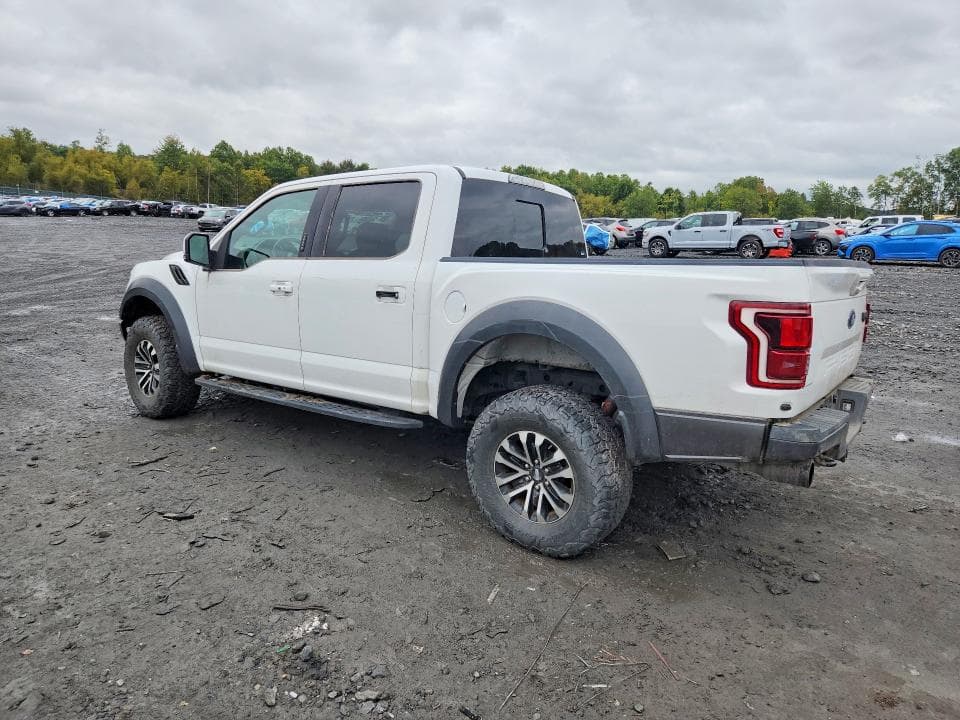 2019 FORD F150 RAPTOR 2