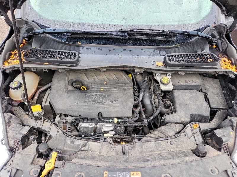 2017 FORD ESCAPE SE 12