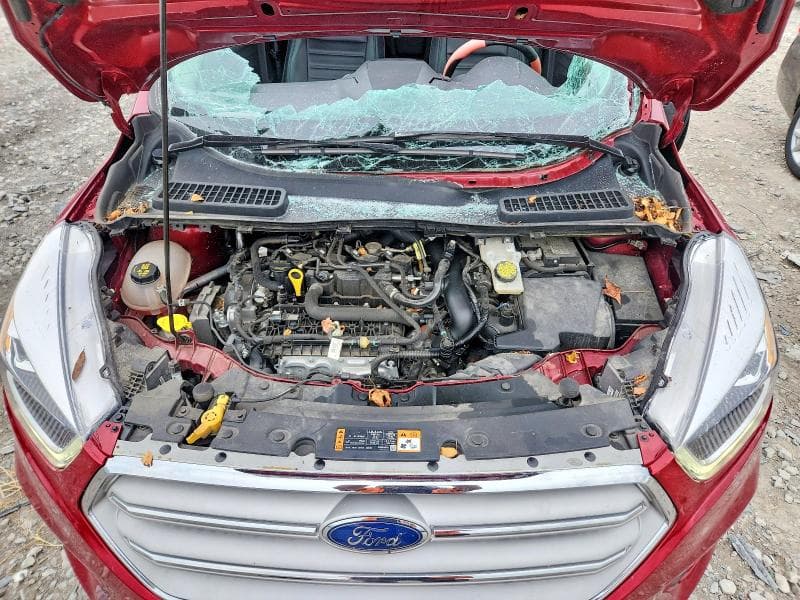 2019 FORD ESCAPE SEL 12