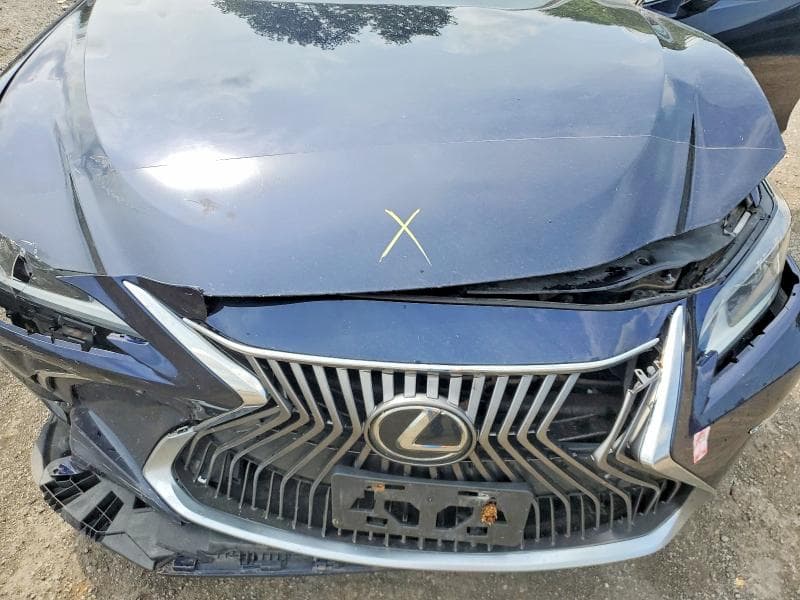 2019 LEXUS ES 350 11