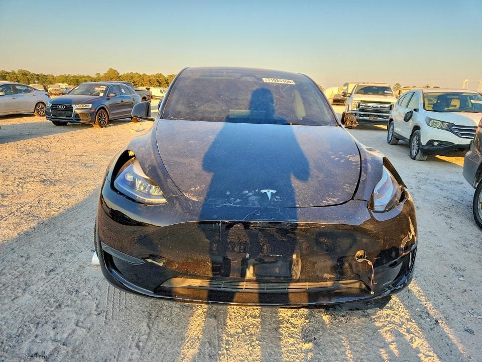 2025 TESLA MODEL Y 5