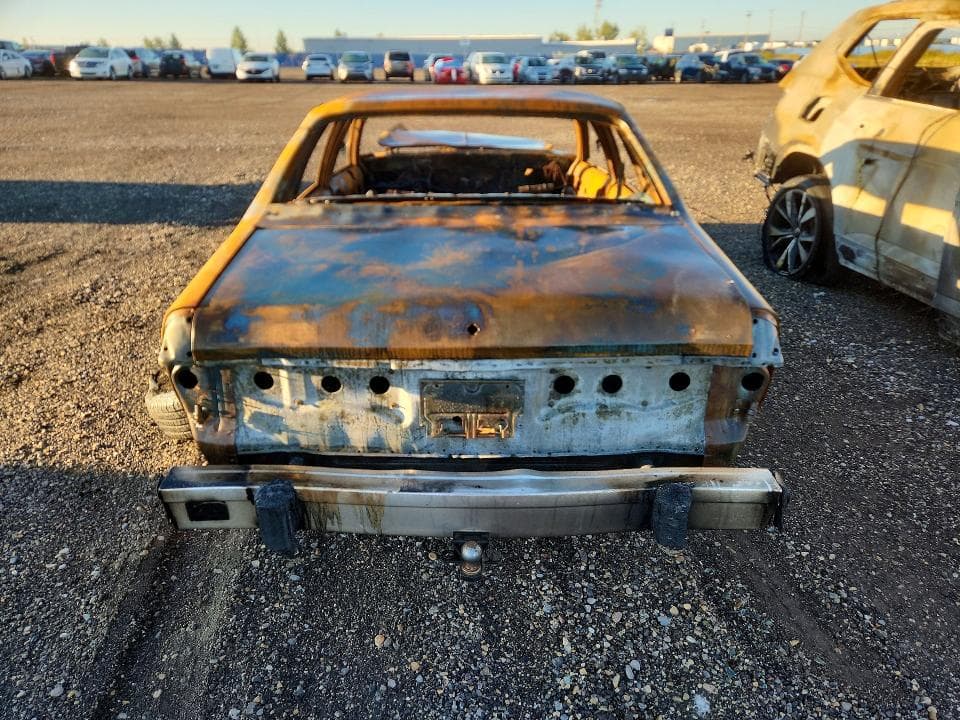 1982 AMERICAN MOTORS CONCORD DL 6