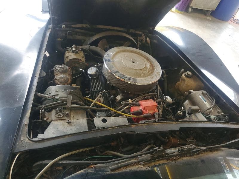 1981 CHEVROLET CORVETTE 11