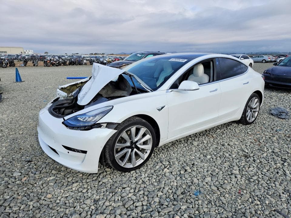 2019 TESLA MODEL 3 - 1