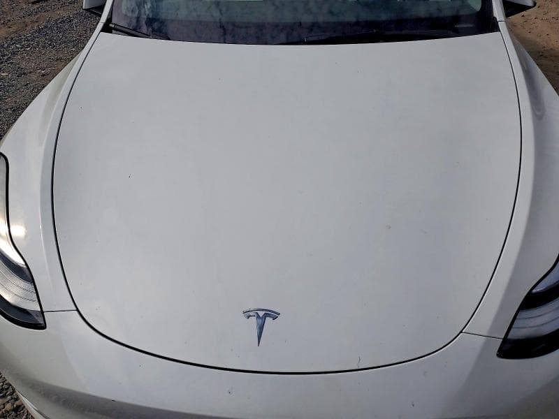 2021 TESLA MODEL Y 11