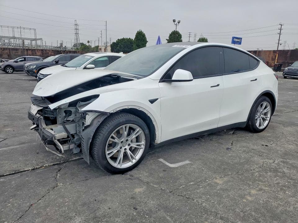 2020 TESLA MODEL Y - 1