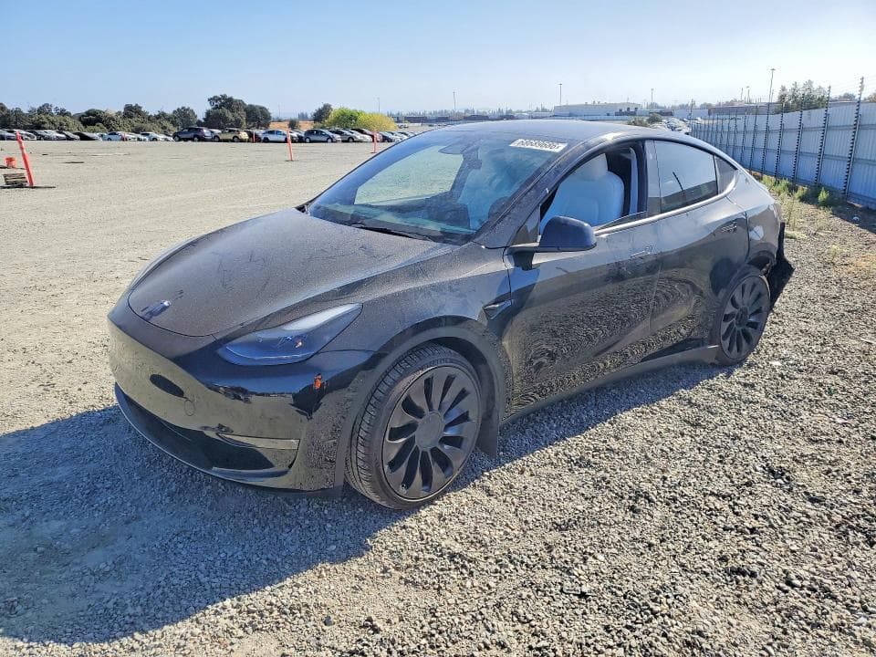 2022 TESLA MODEL Y - 1
