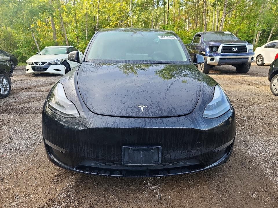 2024 TESLA MODEL Y 5