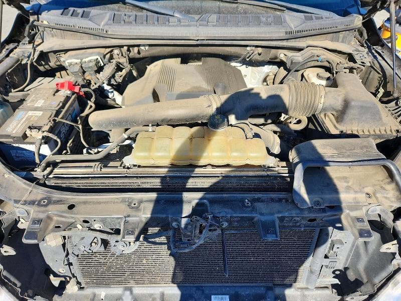 2019 FORD F150 SUPERCREW 11