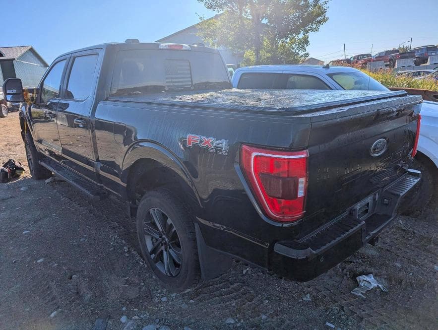 2023 FORD F150 SUPERCREW 2