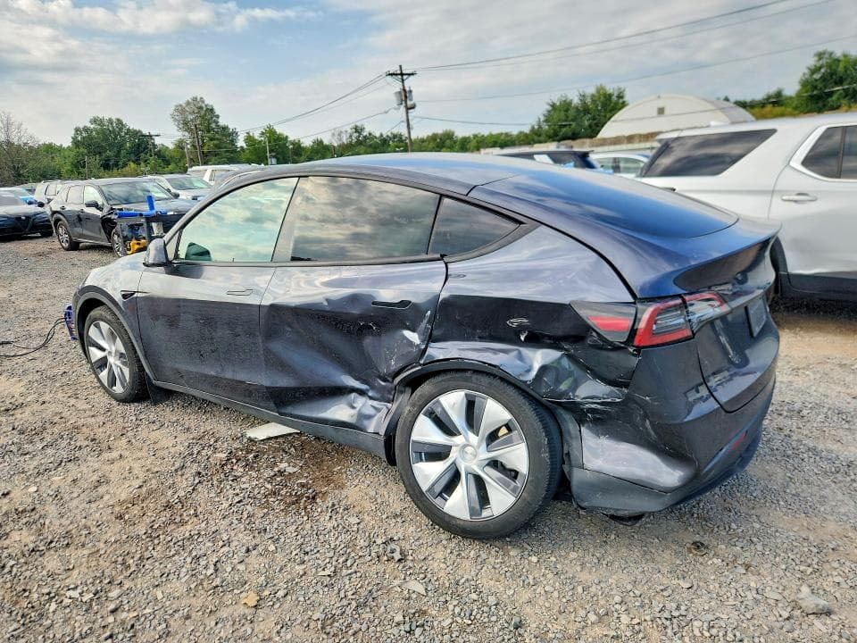 2024 TESLA MODEL Y 2