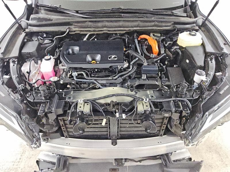 2026 LEXUS RX 350H PREMIUM+ 12
