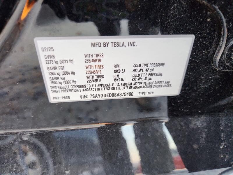 2025 TESLA MODEL Y 12