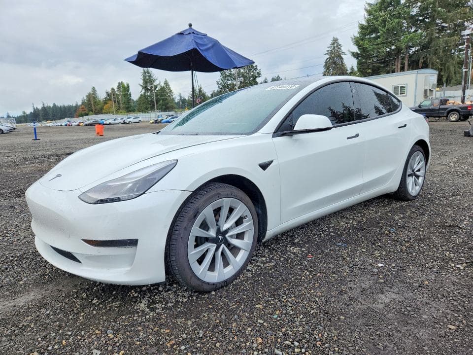 2021 TESLA MODEL 3 - 1