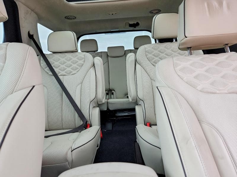 2020 HYUNDAI PALISADE LIMITED 10