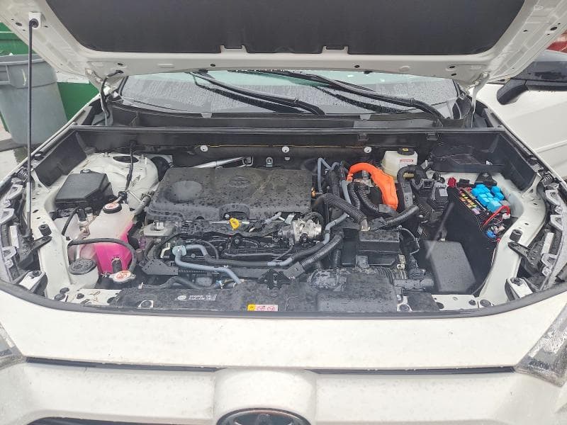 2025 TOYOTA RAV4 LE 12