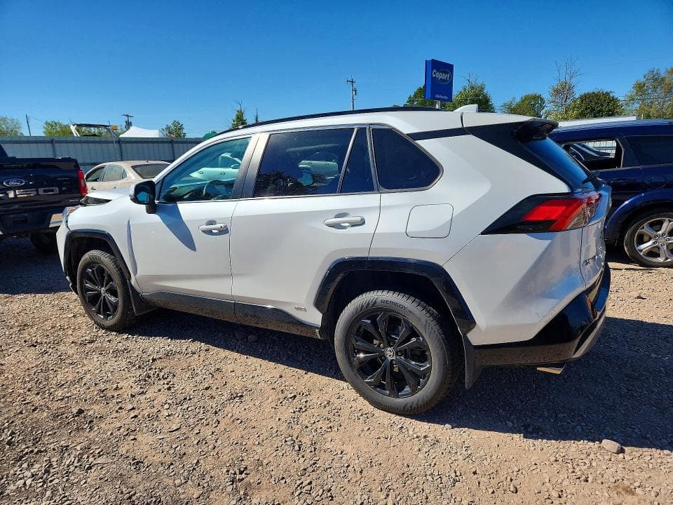 2023 TOYOTA RAV4 SE 2