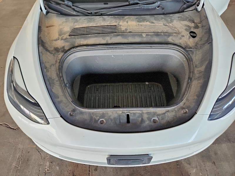 2020 TESLA MODEL Y 11