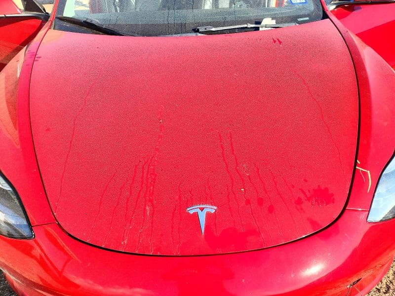 2022 TESLA MODEL 3 11