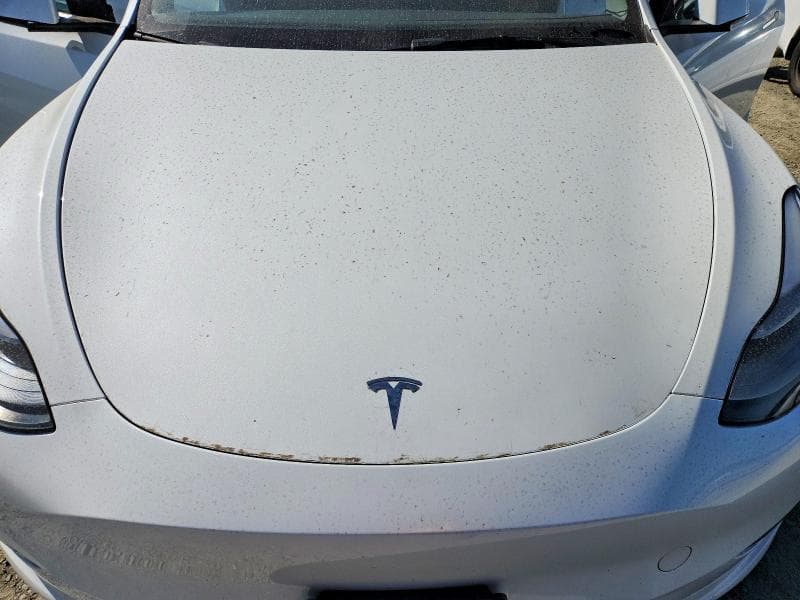 2025 TESLA MODEL Y 11