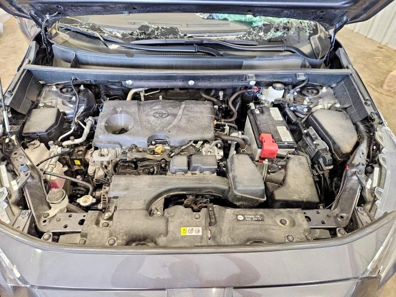 2024 TOYOTA RAV4 XLE PREMIUM 12