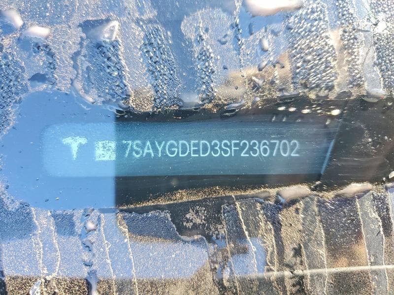 2025 TESLA MODEL Y 12