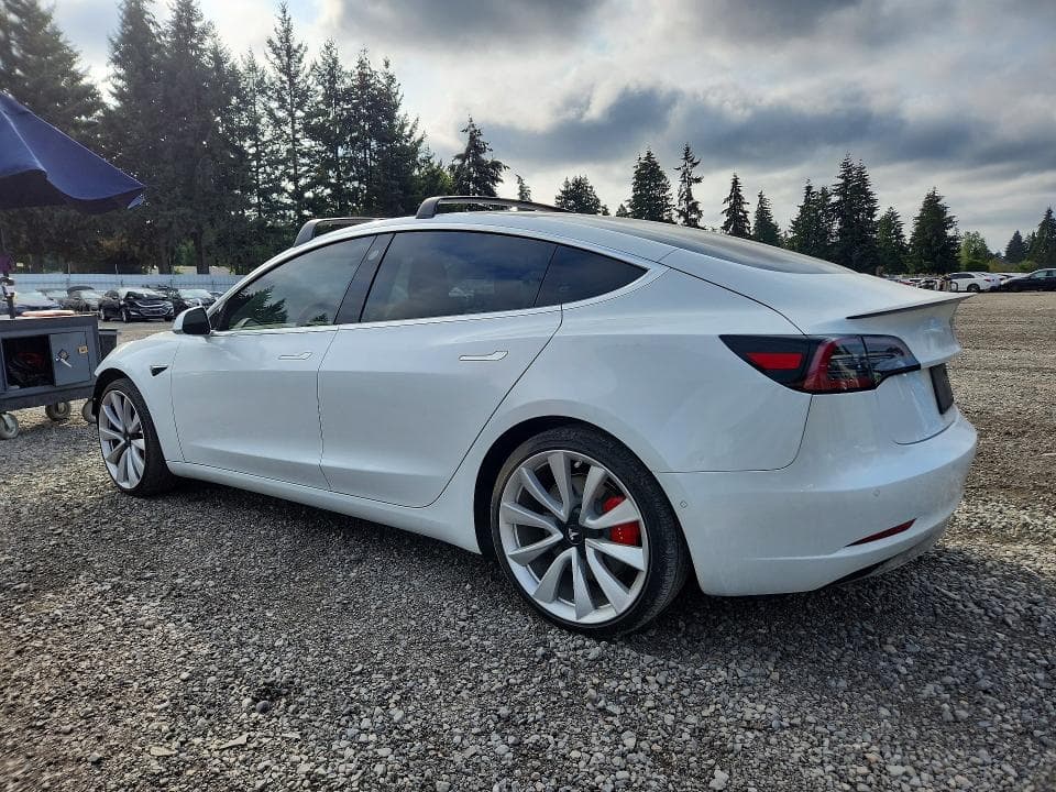 2019 TESLA MODEL 3 2