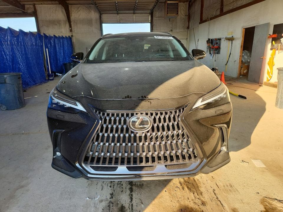 2024 LEXUS NX 350H LUXURY 5