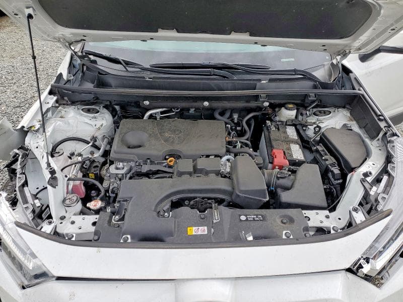 2025 TOYOTA RAV4 LE 12
