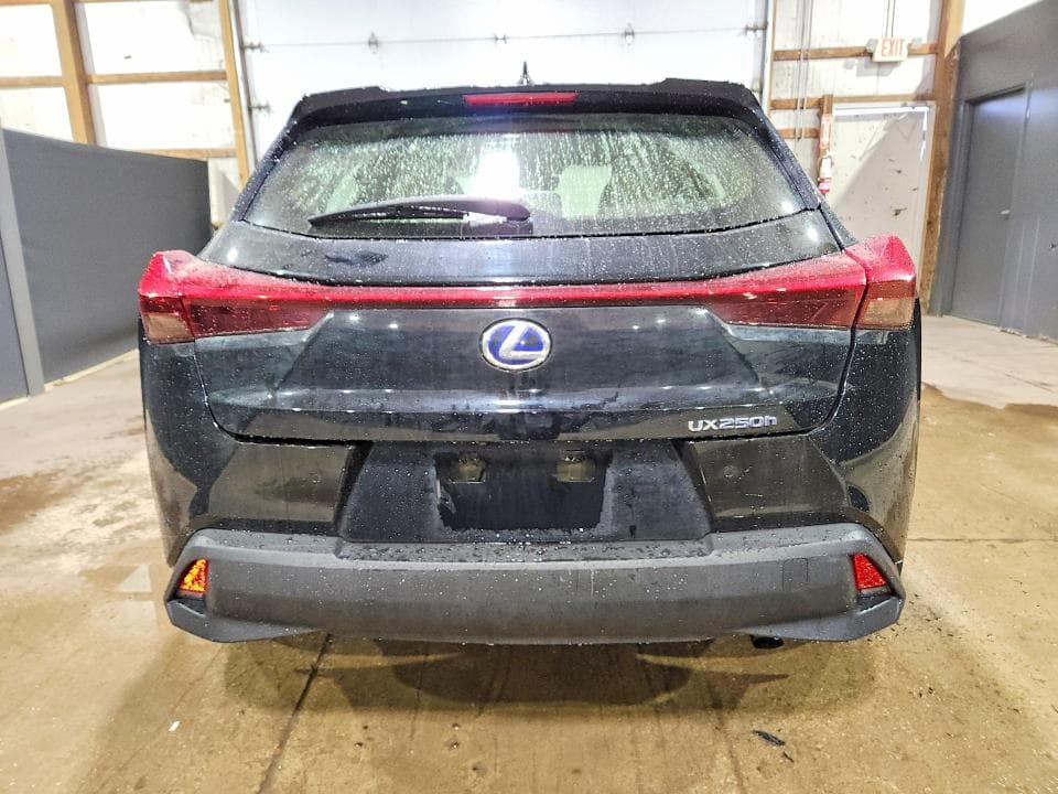 2019 LEXUS UX 250H 6