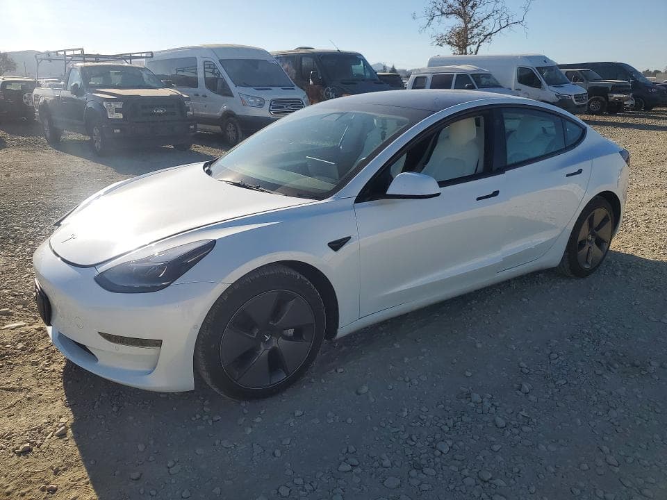 2021 TESLA MODEL 3 - 1