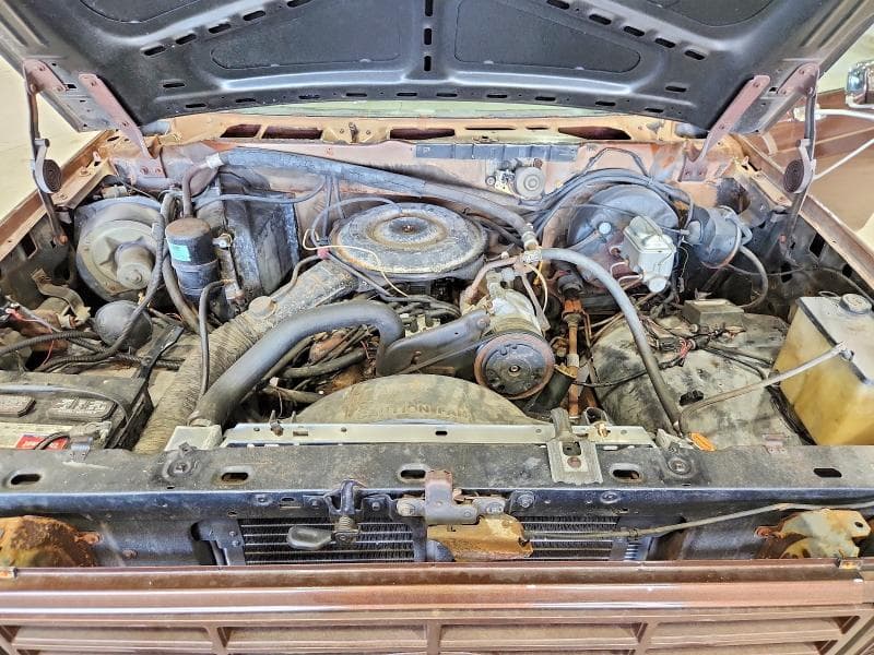 1983 FORD BRONCO U100 11