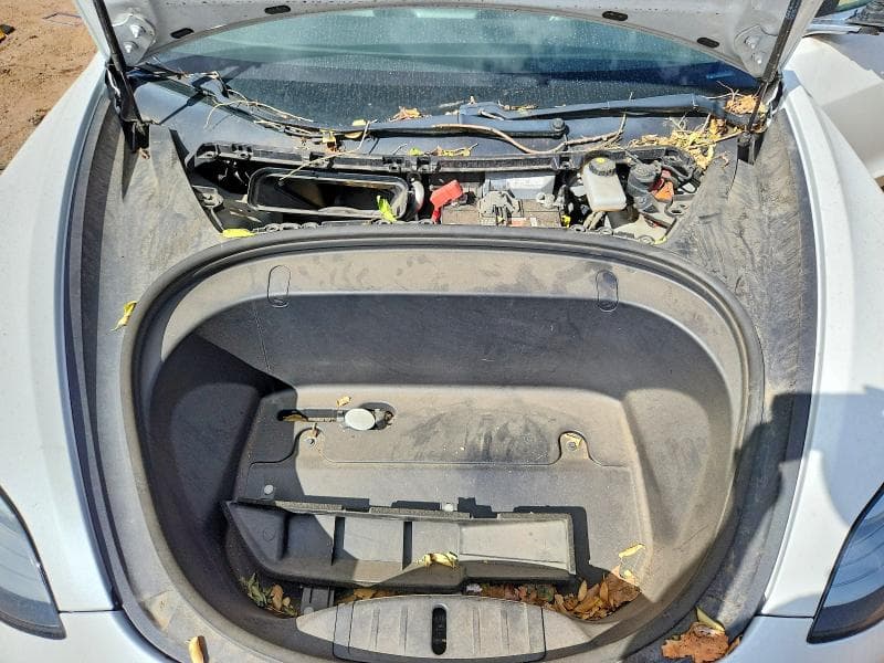 2019 TESLA MODEL 3 11